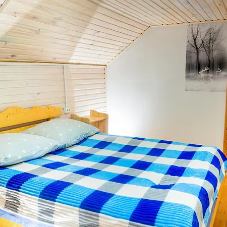 Carpathian Comfort * Jaremtsje