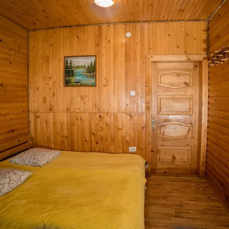 Carpathian Comfort Отель